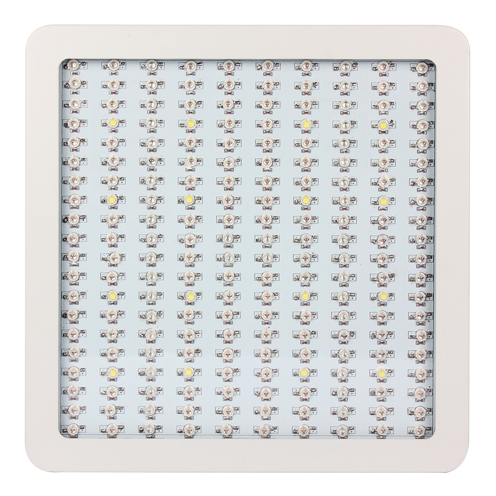 Hot sale 2000w led grow light full spectrum warm white light