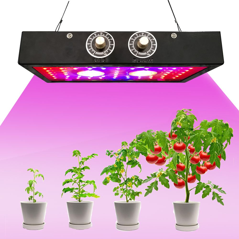 1500W Black Rectangle Full Spectrum COB Indoor LED Plants Hydroponics Grow Lights for Indoor Plant Grow Lamp
