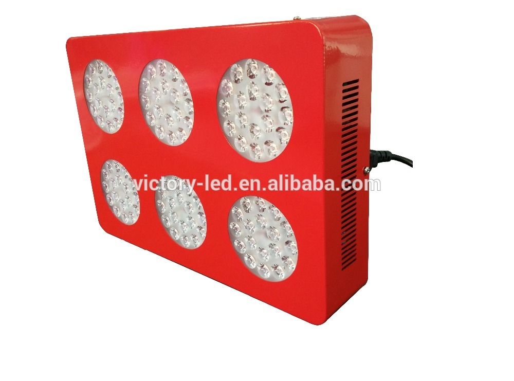 Wholesale Newest High Power Cob Led Grow Light For Flowering Plant And Hydroponics System 800 Watt Led Grow Panel Light