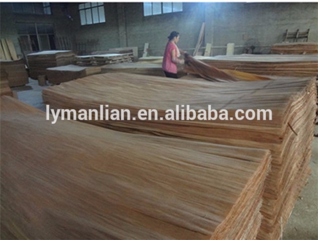 gurjan face veneer recon veneers keuring veneer