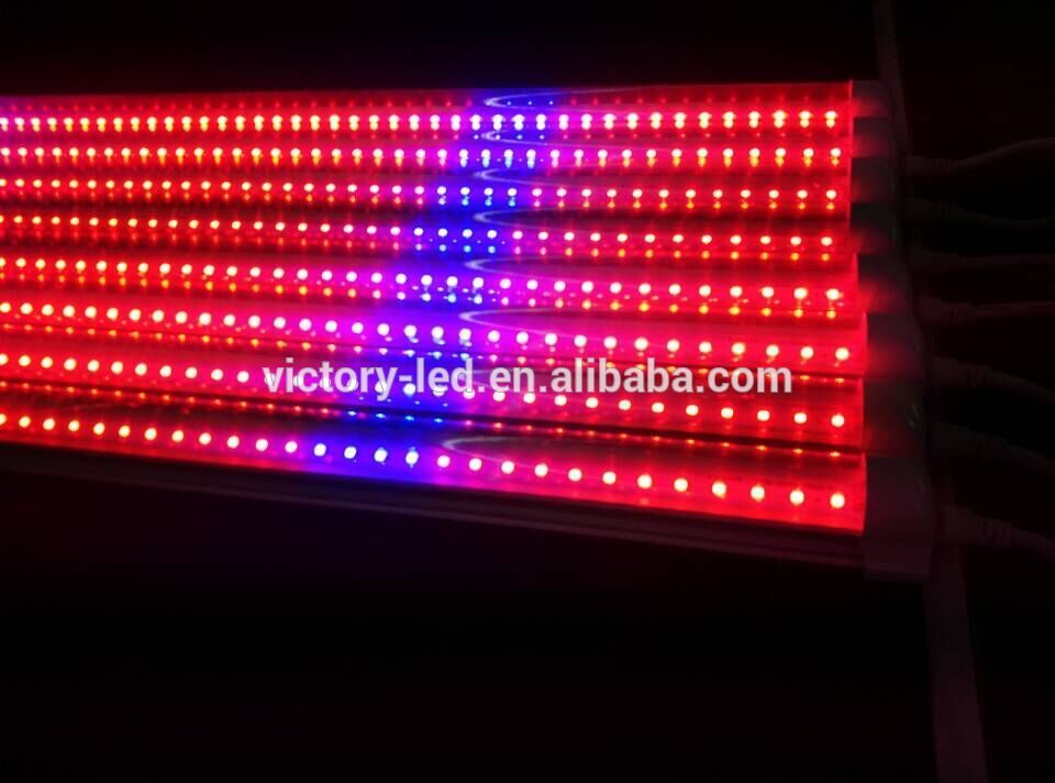 Red And Blue Light Led Grow Tubes Light Smd2835 T5 T8 4Ft 5Ft 6Ft 8Ft Led Grow Light Tube