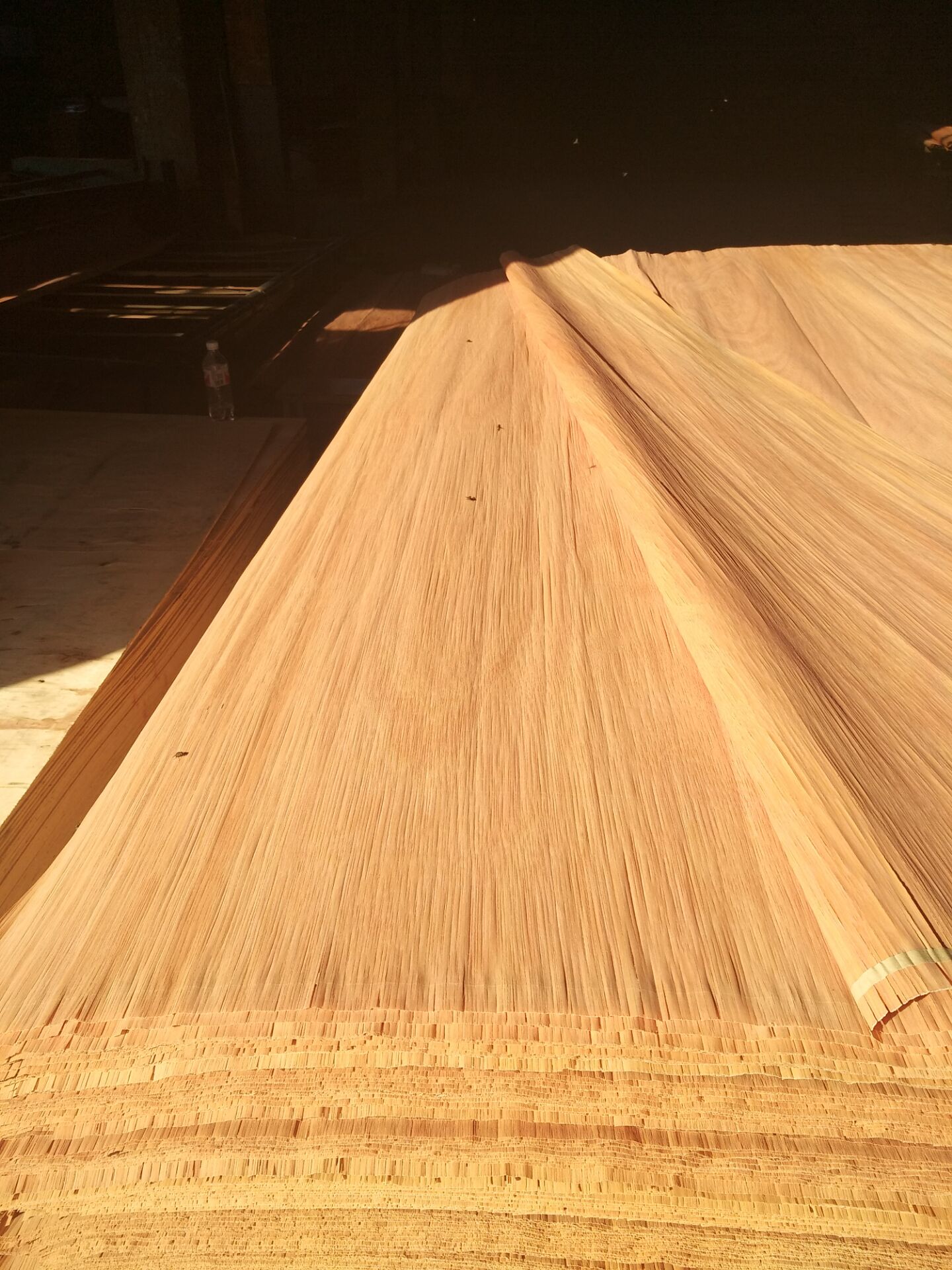 Factory offer natural wood face veneer rotary cut timber veneer for furniture China PLB face veneer