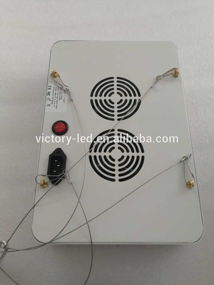 Wholesale 300W 600W 900W 1000W 1200W 1600W 2000W full spectrum Led Grow Light