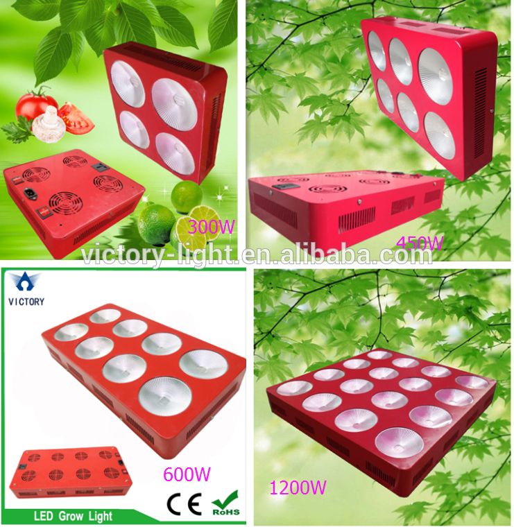 Greenhouse planting 1200w cob LED grow light with timer