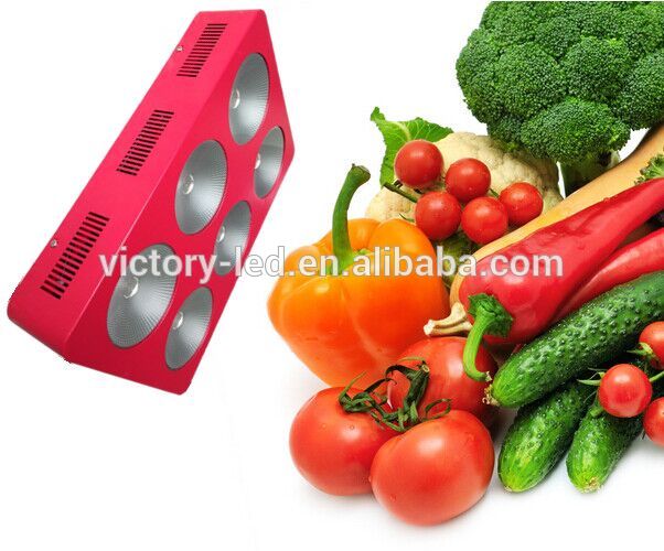 grow lighting cob 450w farm led full spectrum grow light