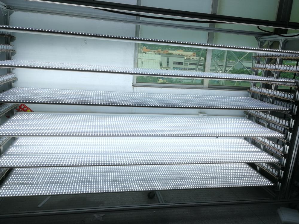 8FT Led Tube Light T8 6000K Single Pin G13