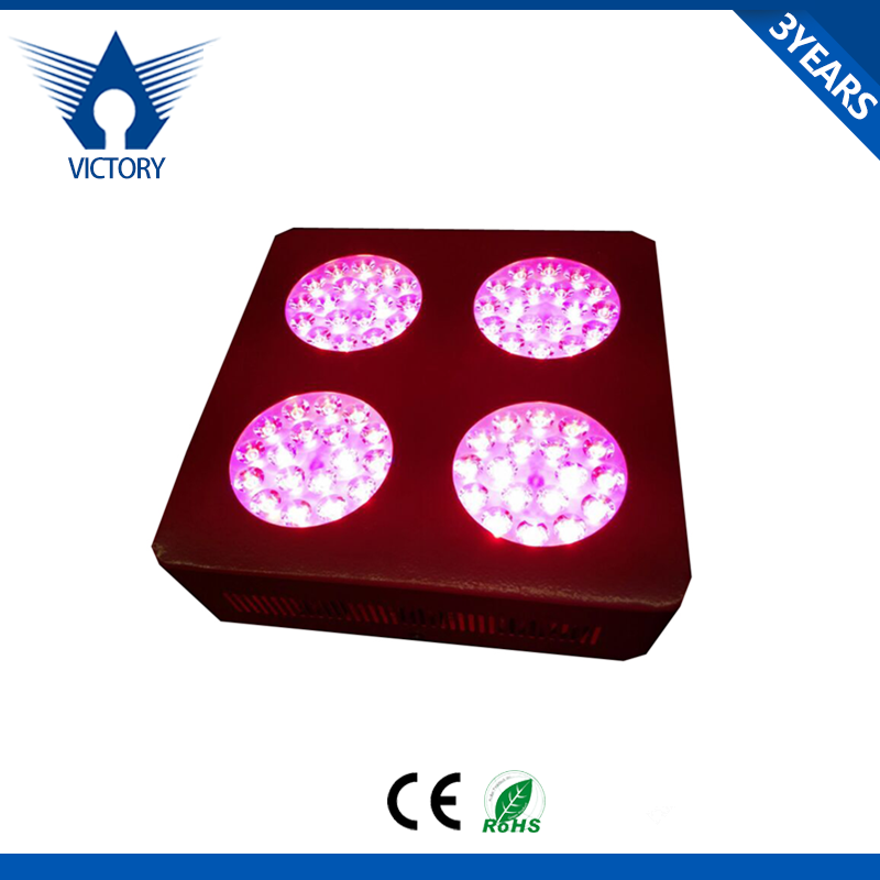 Full spectrum wholesale lamps China 300W cob led grow light