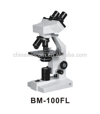 Education/Medical BM-100FL Binocular Microscope with low price