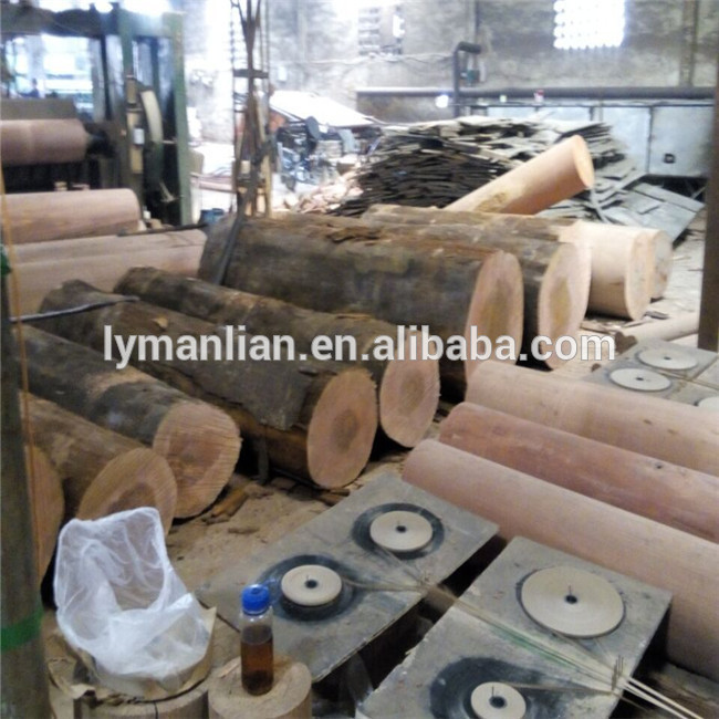 PLB Face Veneer 0.3mm Natural Veneer Shandong Linyi