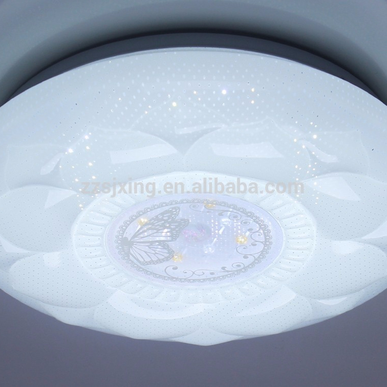 Home decorative 24w LED ceiling lights for home