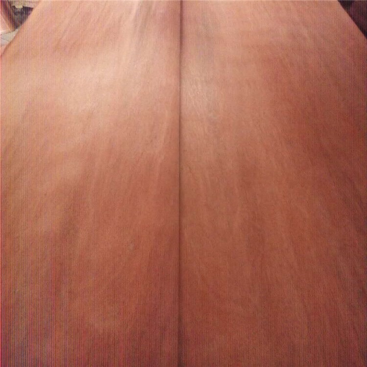 Rotary Cut Plywood Veneer Bintangor Veneer 0.16mm