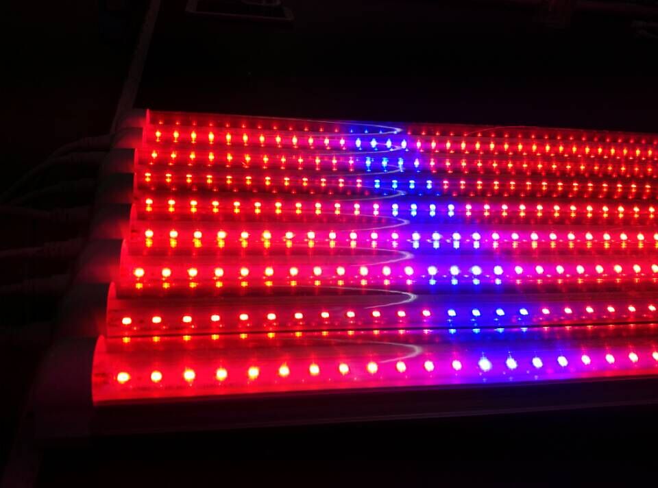 Agriculture planting T8 LED grow tube light 18w 1200mm
