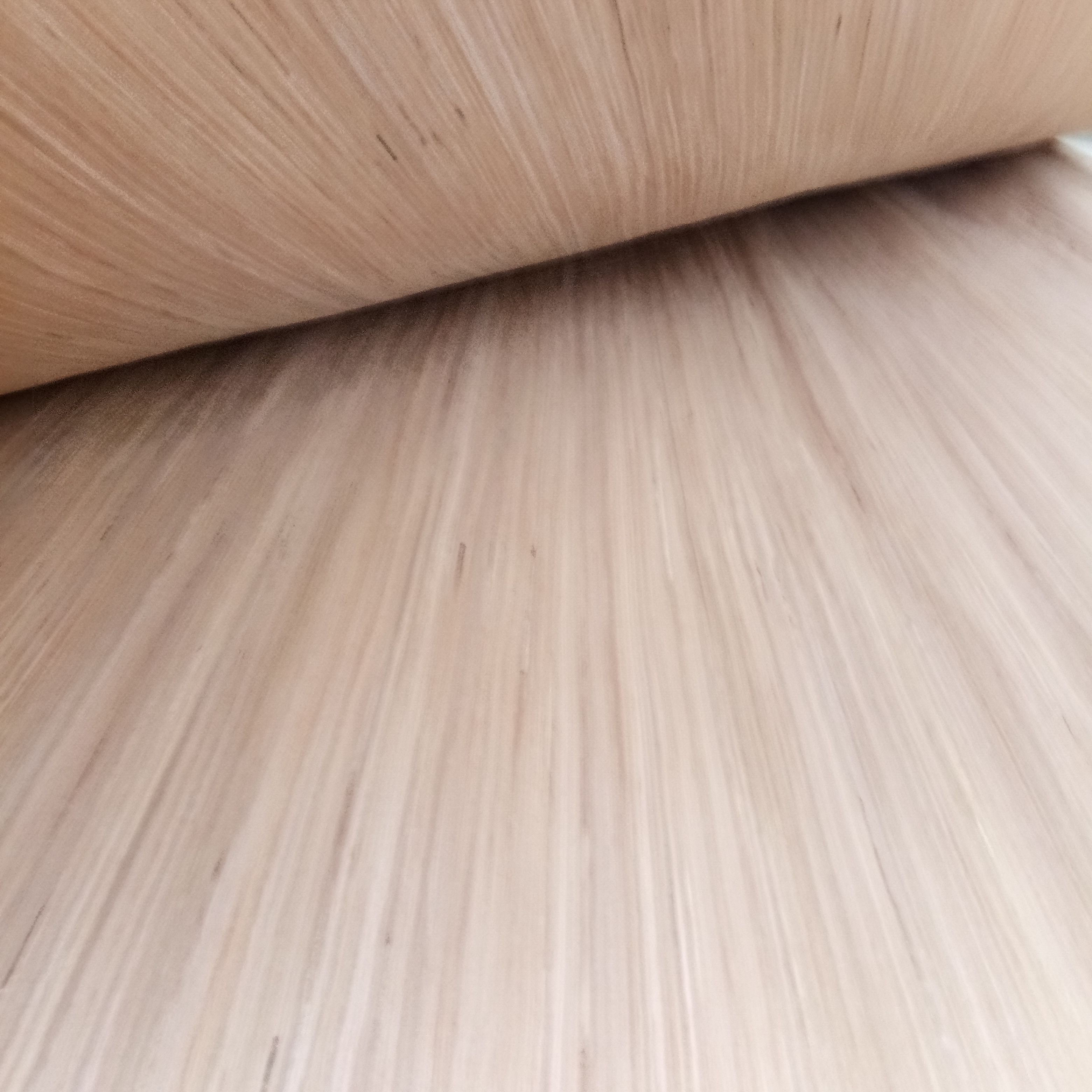 White Beech Veneer Factory