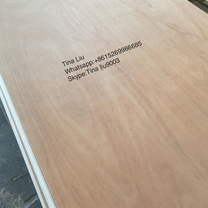 okoume/bintangor/bleached plywood for packing