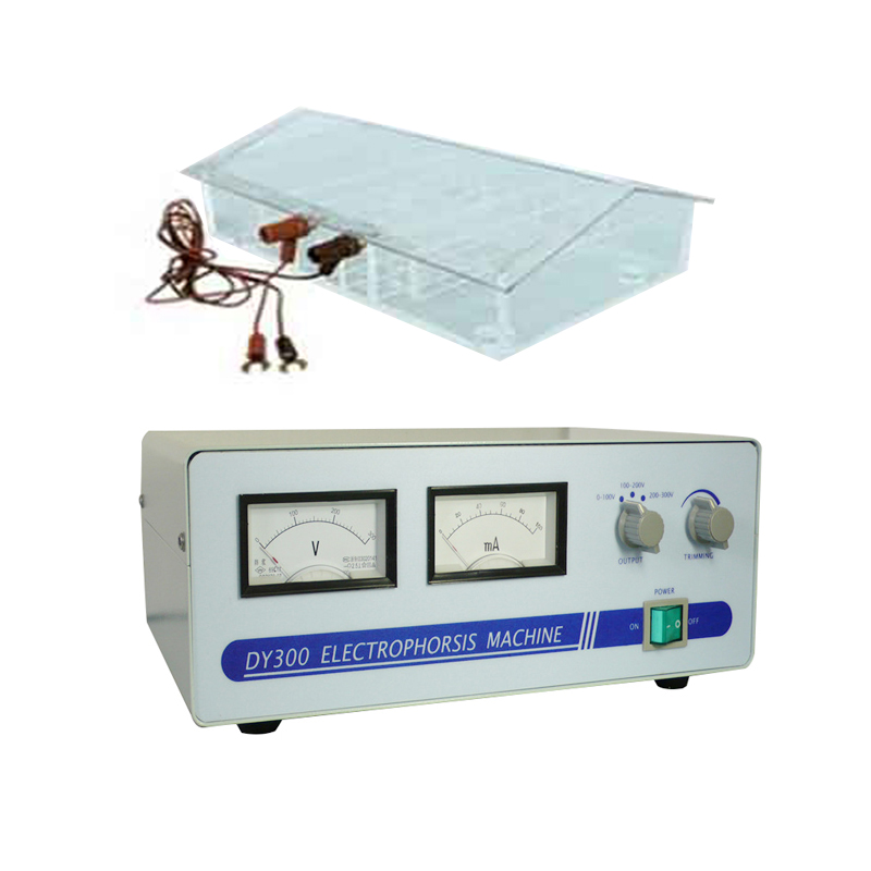 High accuracy electrophoresis machine with cell