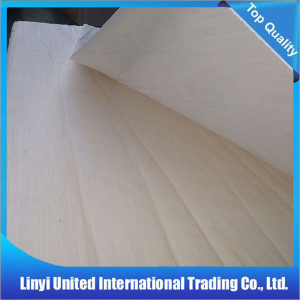 White EV poplar veneer sheets sliced cut for Indaia market