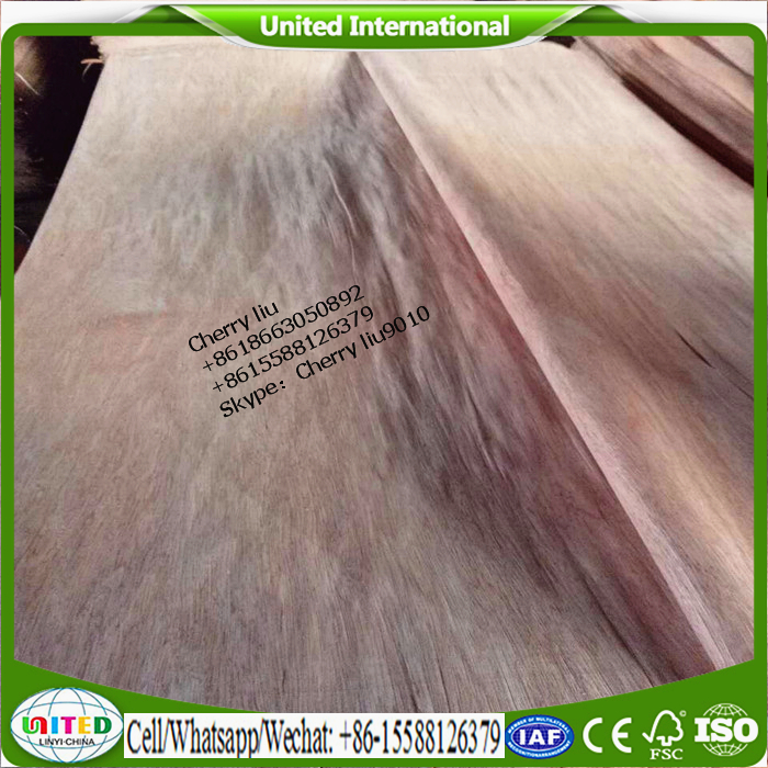 BNG wood veneer bintangor wood veneer