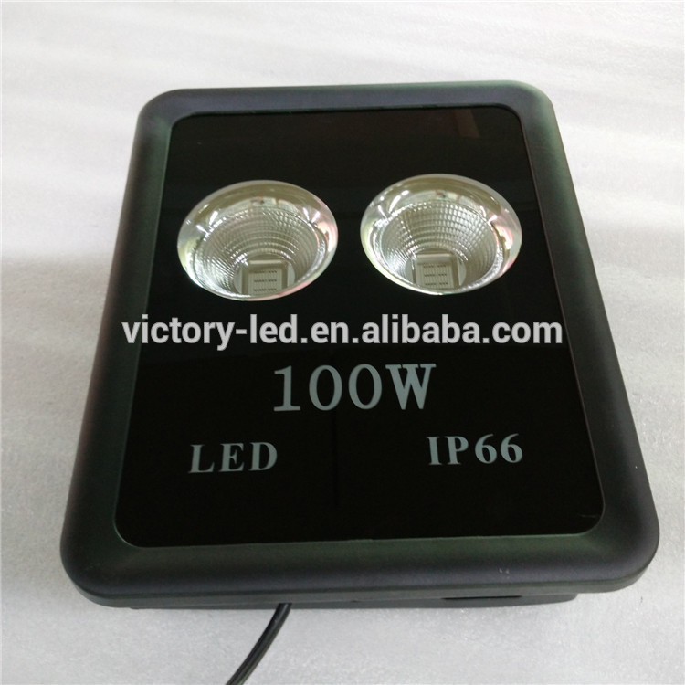 Full spectrum flood light 100w led grow light for plants grow