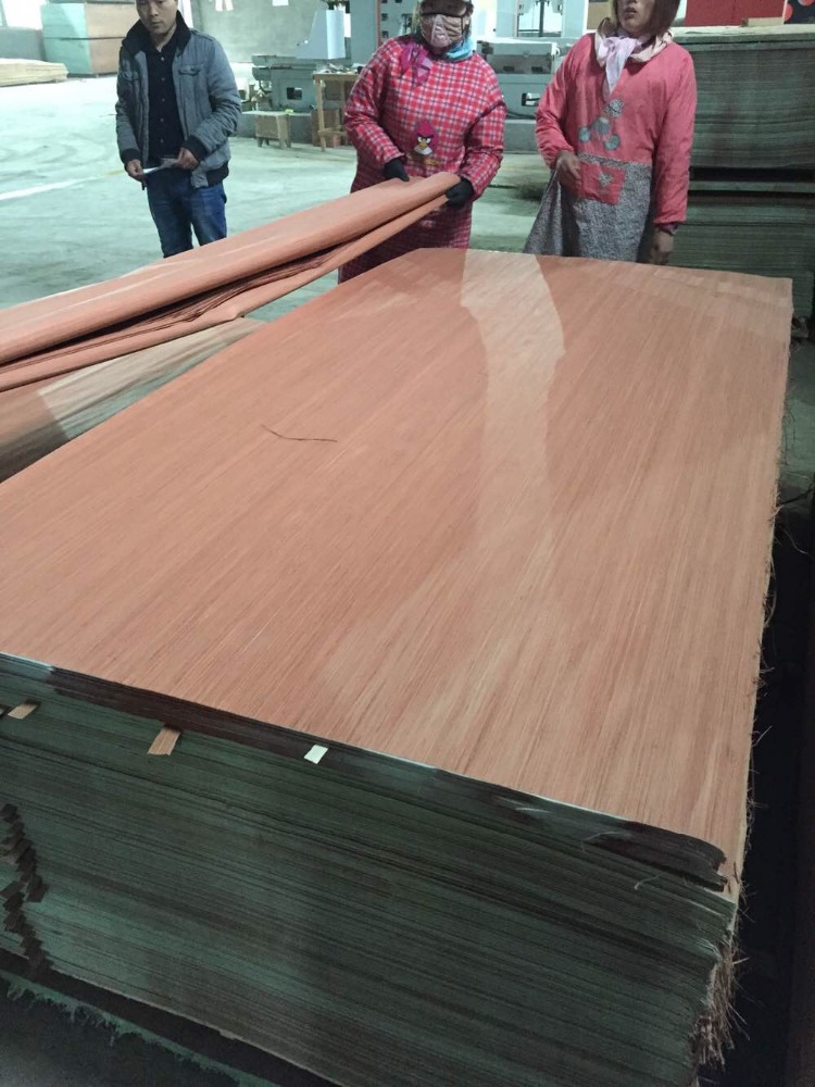recon gurjan face veneer olive wood veneer