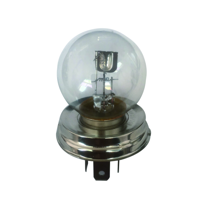 Wholesale G40 Hard Glass Halogen LED Bulb 6000K