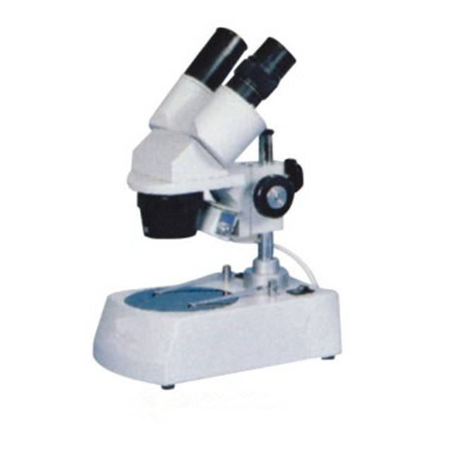 S-30 series two headed stereo zoom microscope with digital camera
