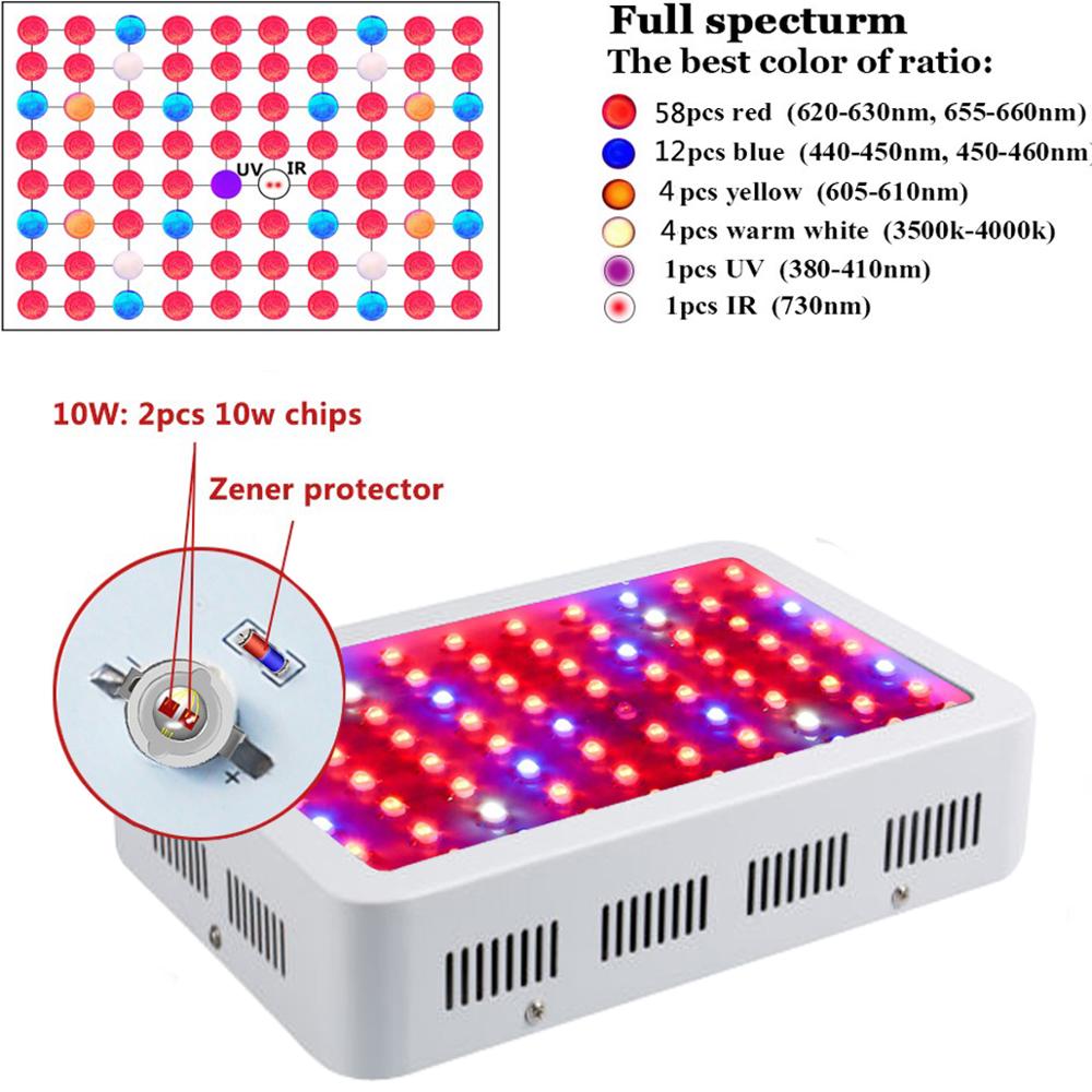 Environment-friendly High lumen energy saving 800W LED Grow Light For Indoor Vegetable / Flower Hydroponic growing system