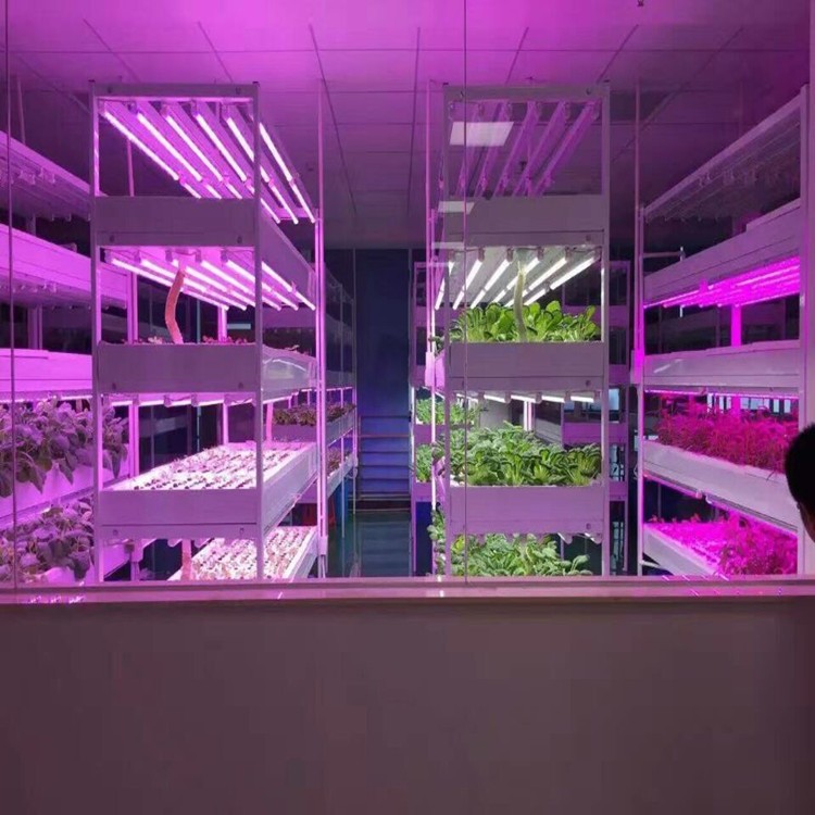 LED Light Source and IP65 IP Rating 4ft T8 LED Plant Grow Light Tube