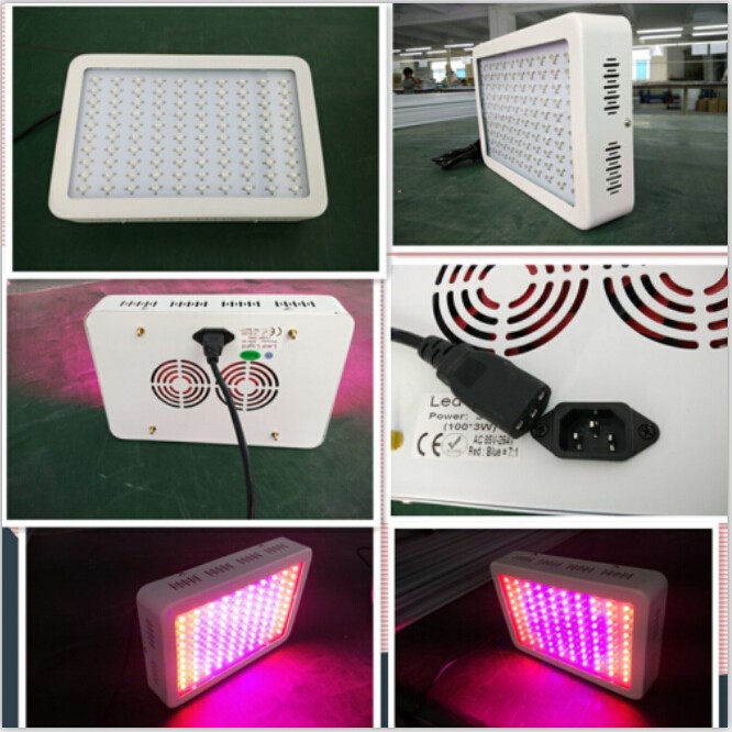 2017 Best 100 X 3W Led Light Spectrum Top Value 300W Hydroponic Led Grow Lightswith Real 630Nm UV IR
