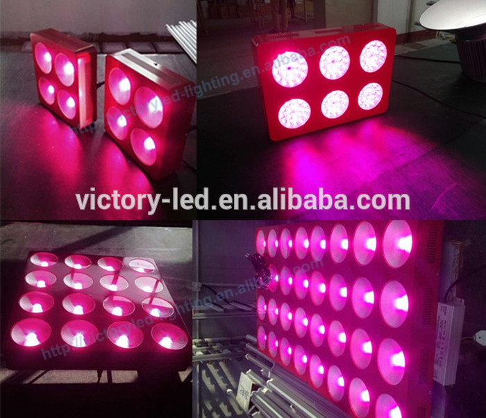 Shenzhen Victory Lighting power Greenhouse used COB 1000W apollo led grow lights with Red Blue color for America market