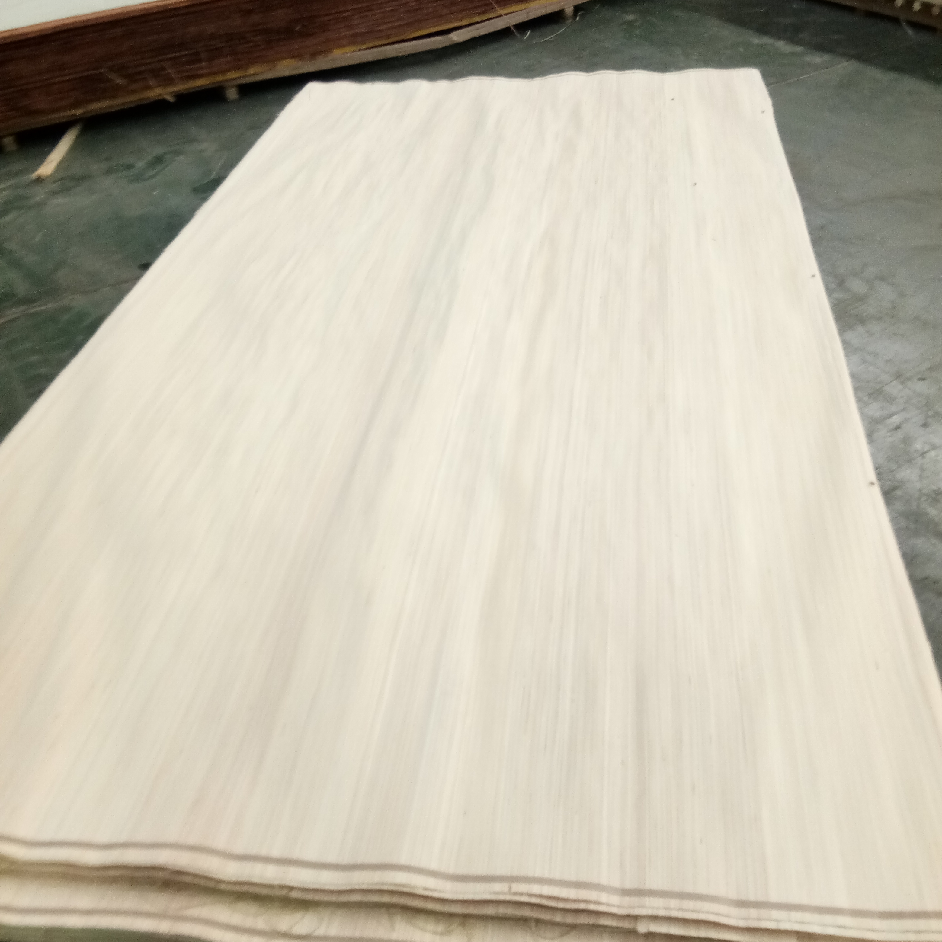 Melamine interior Door Skin