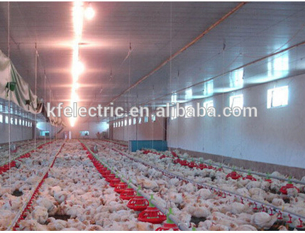 A60 LED Bulb 24VDC coop lamp IP67 poultry light  waterproof led chicken lamp Dimmable light