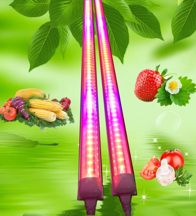 Hot Sale Led Grow Tube Hydroponic Grow Systems T8 Led Grow Tube Light With Customized Red660Nm Blue630Nm Form China Manufacturer