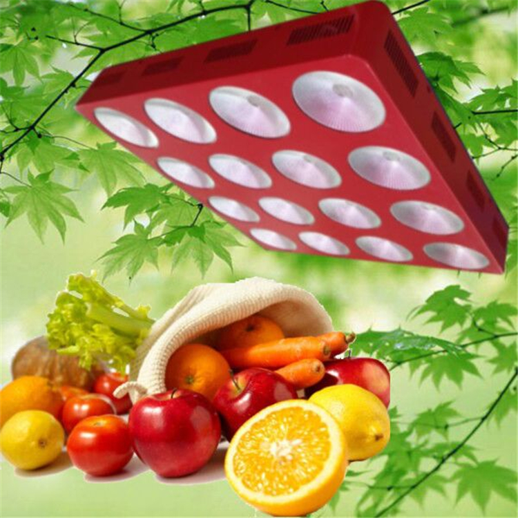 Cheap full spectrum COB led grow light 100w 200w 300w housing hydroponics plant growth light