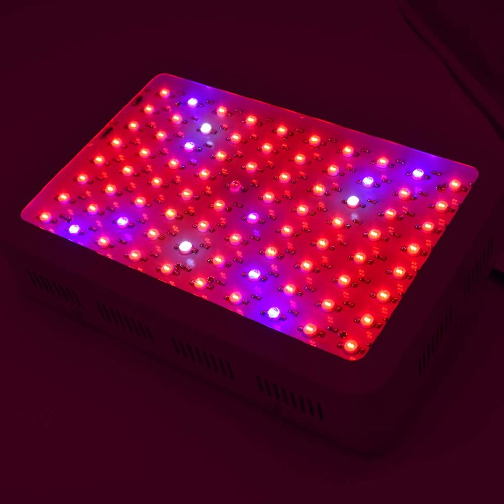 New Design Red Blue Full Spectrum Aquarium LED Lighting 800W COB LED Grow Light