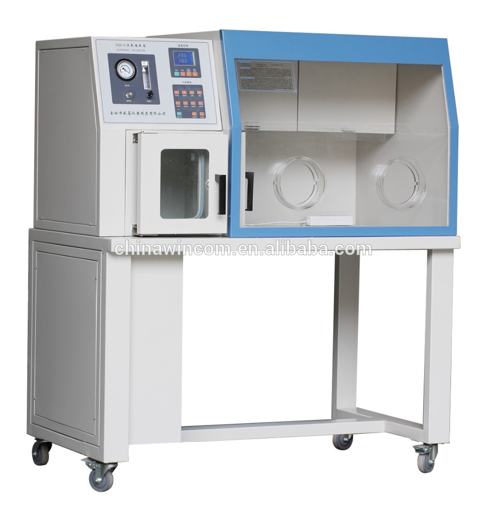 High Quality Anaerobic Incubator Machine Laboratory Anaerobic Incubator YQX-II