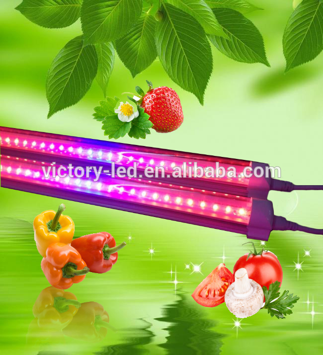 t8 blue red led plant grow light tube, 24v dc led tube light