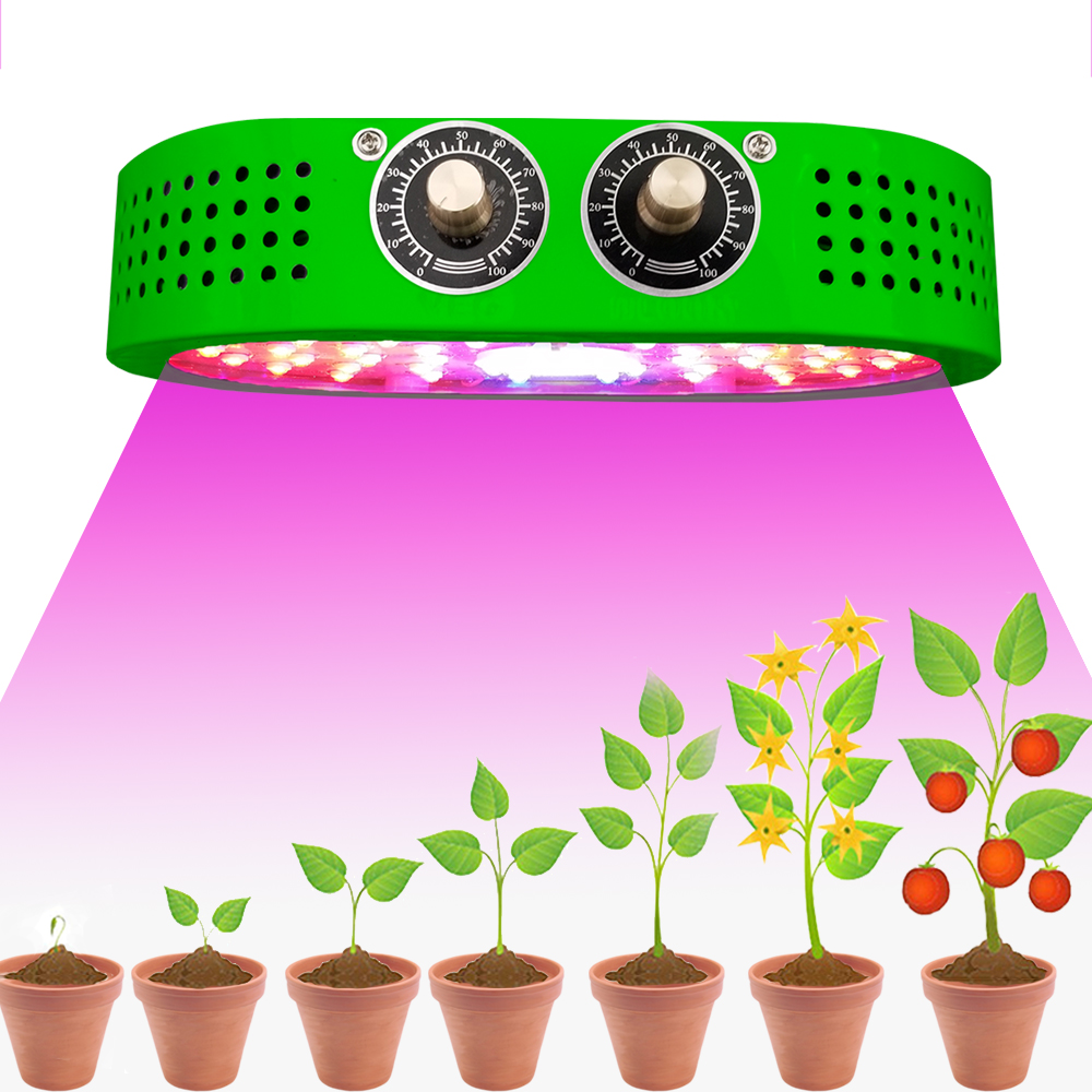 1100W Green Ellipse Full Spectrum COB Indoor Plants LED Hydroponics Grow Lights
