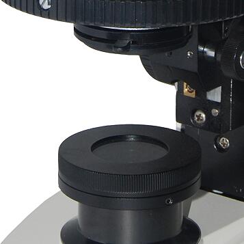 Polarizing trinocular head microscope with wide field Eyepiece