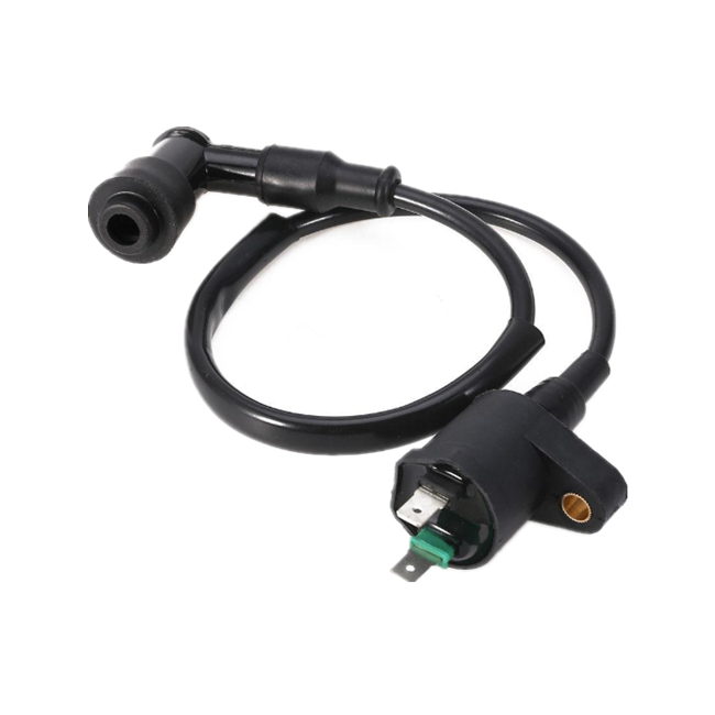Competitive Price 50-150cc Motorcycle GY6 Ignition Coil