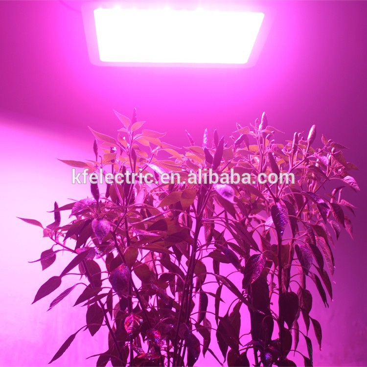 1000W lamp Grow light Full spectrum light greenhouse light