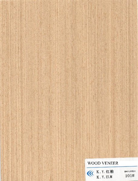 Elm Engineered Veneer