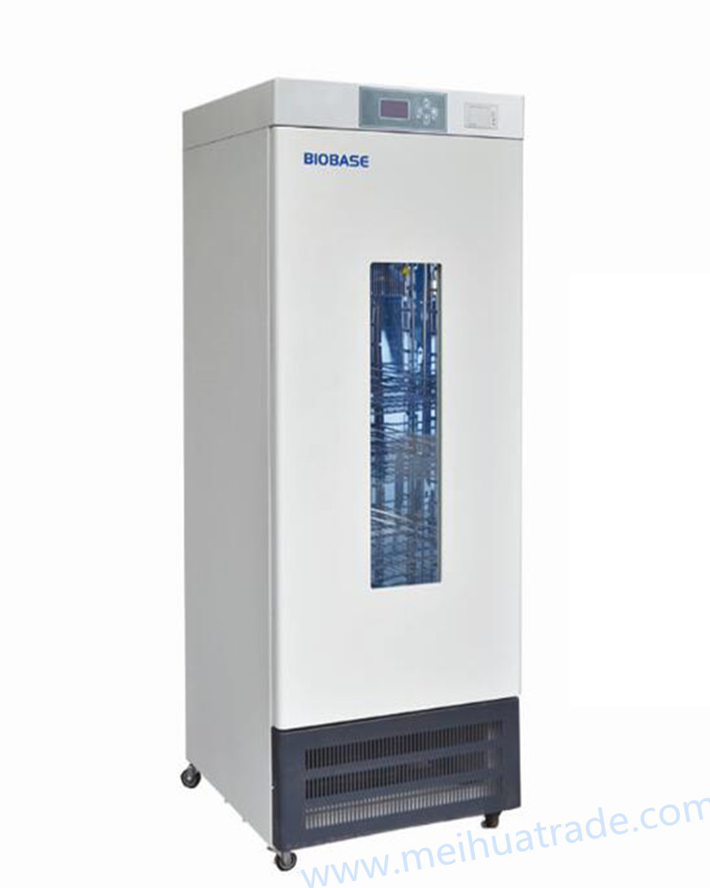 250L Stainless Steel BOD Socket Biochemistry Incubator