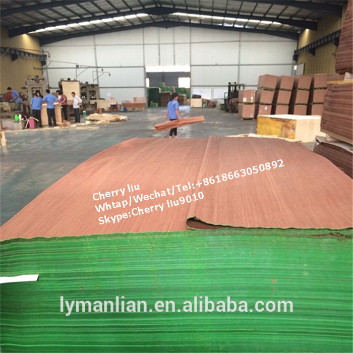 0.3mm keruing wood veneer face /gurjan face veneer.