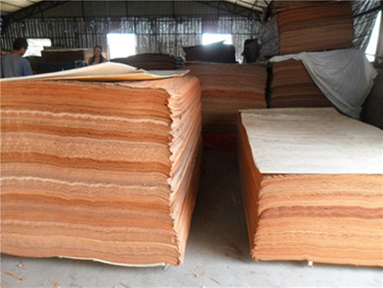 gurjan face veneer/3'x7' wood gurjan face veneer to Malaysia