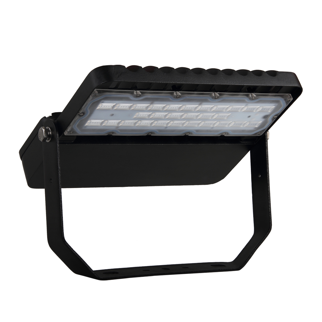 Factory whole sale 100watts led flood light Waterproof color changing flood light landscape