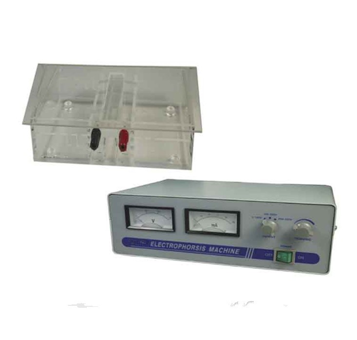 Top Selling 220V 50 Hz Electrophoresis Price