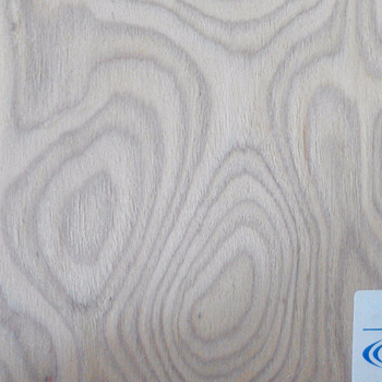 rotary cut beech veneer