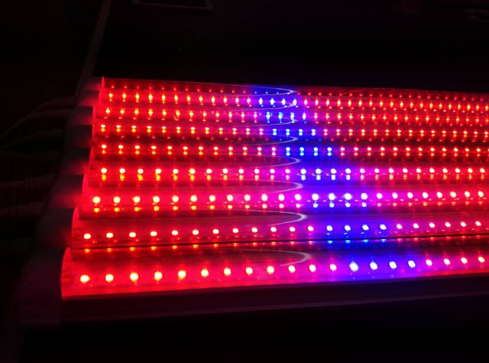 Greenhouse planting T8 lamp tube 18w 1200mm LED grow tube