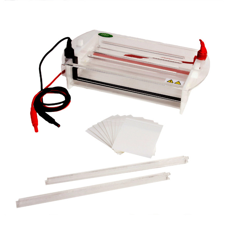 Electrophoresis gel tank