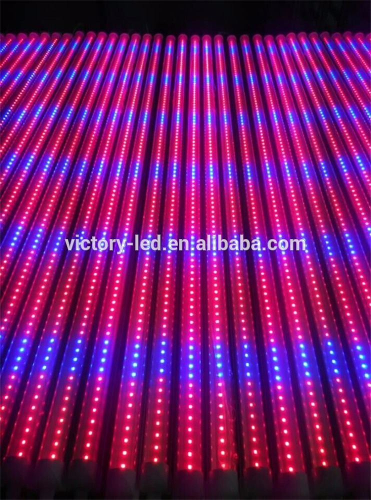 Linear Led Grow Lights T8 4ft 5ft 6ft 8ft Led Grow Light Tube